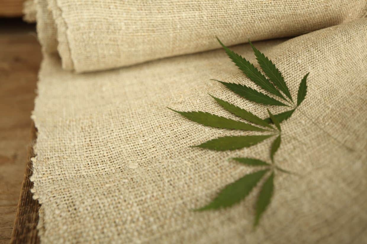 Why is hemp clothing so sustainable?