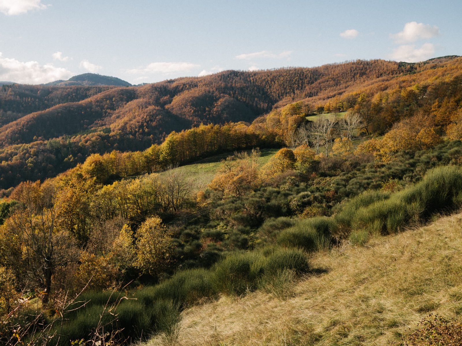 Valle del Casentino in autunno