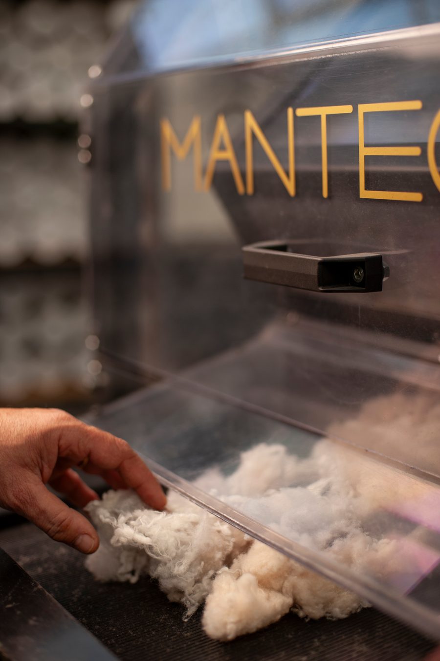 Cashmere fibers in the Manteco raw material archive