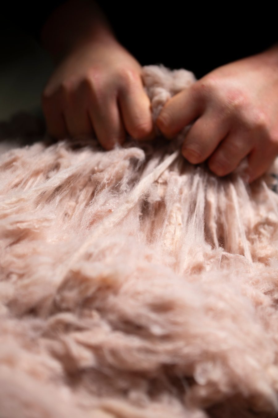 Cashmere fibers opened by hand